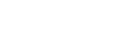 Spinfluence Bank